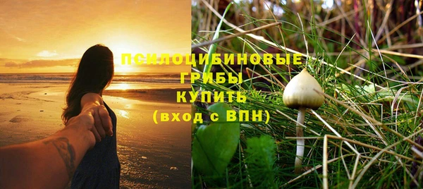 сатива Медвежьегорск