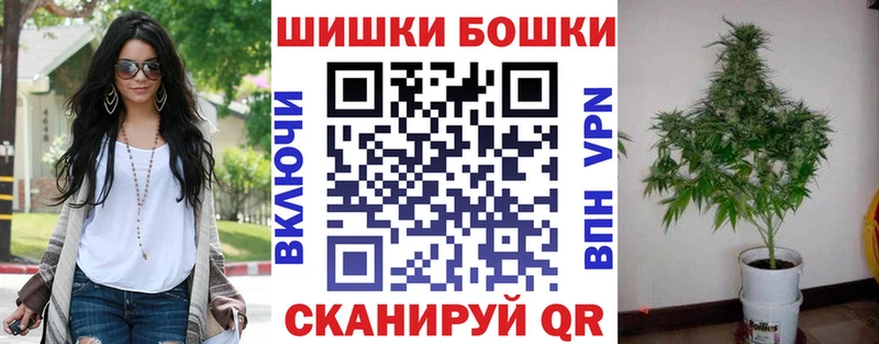 Марихуана сатива  сколько стоит  Черноголовка 